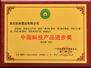 中國科技產品進步獎